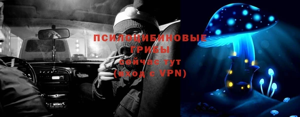 кристаллы Бикин