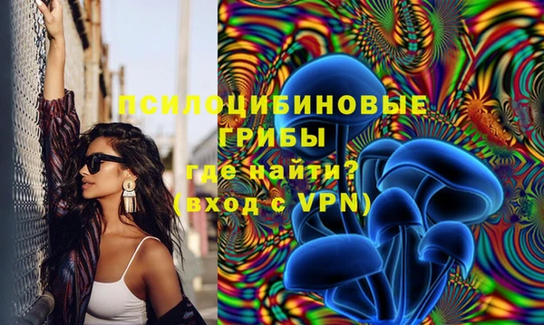 мет Болотное