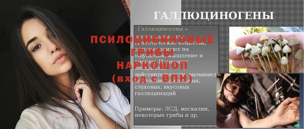 мет Болотное