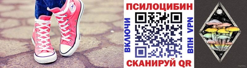Галлюциногенные грибы Cubensis  мориарти телеграм  Гурьевск  купить закладку 