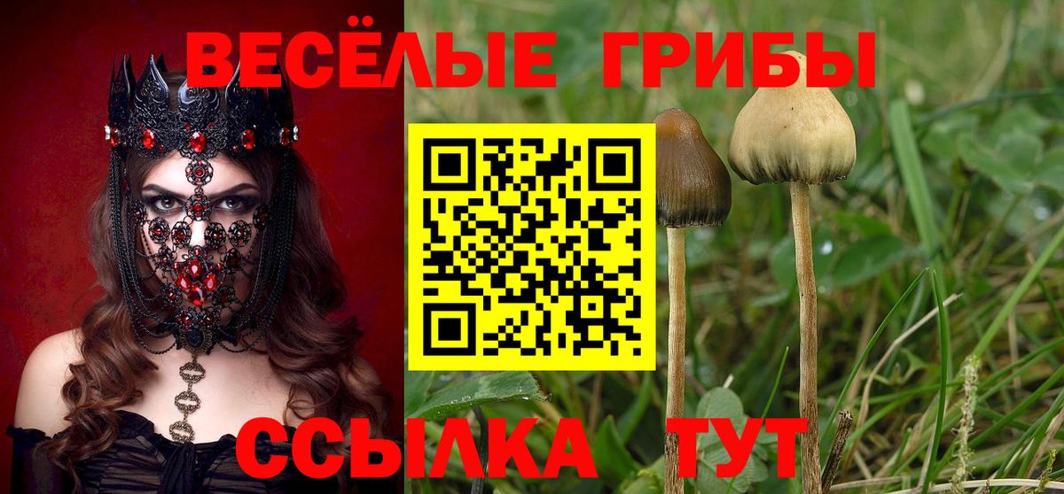 Галлюциногенные грибы Cubensis  Вход с VPN  где найти наркотики  Гурьевск 