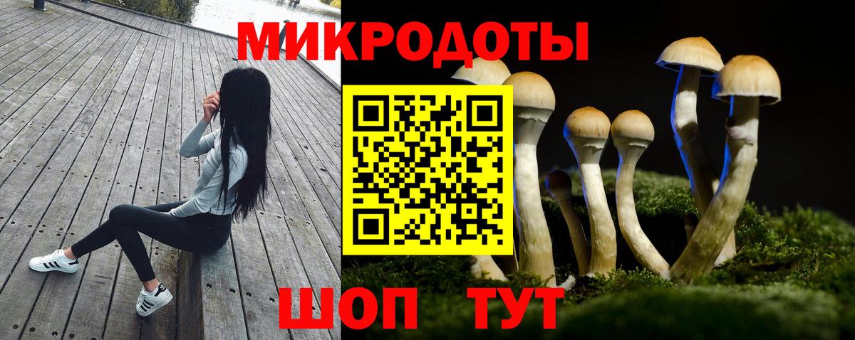 МЕФ Гурьевск