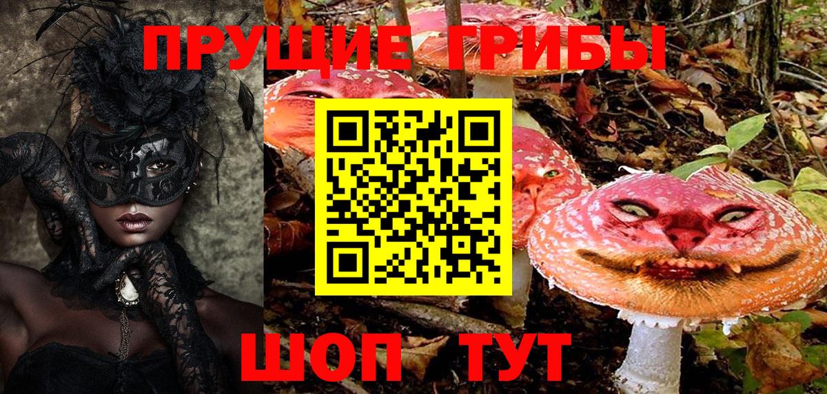 Псилоцибиновые грибы Cubensis Гурьевск